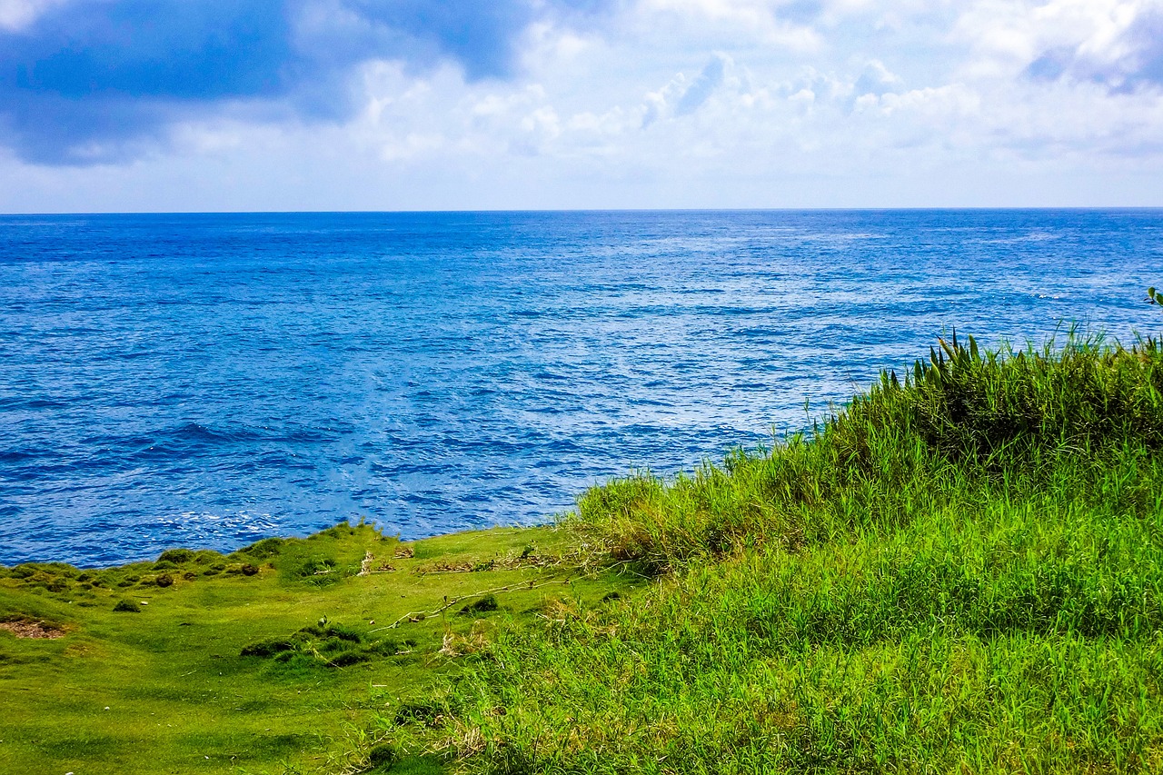 Explorando el Cabo Occidental en 3 días